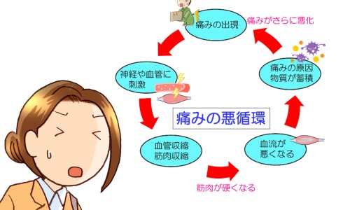 木棉根可以抗癌吗-木棉根煲牛大力和猪肉有什么功效网 - 为你提供木棉根能治什么、木棉根配川芎治什么病